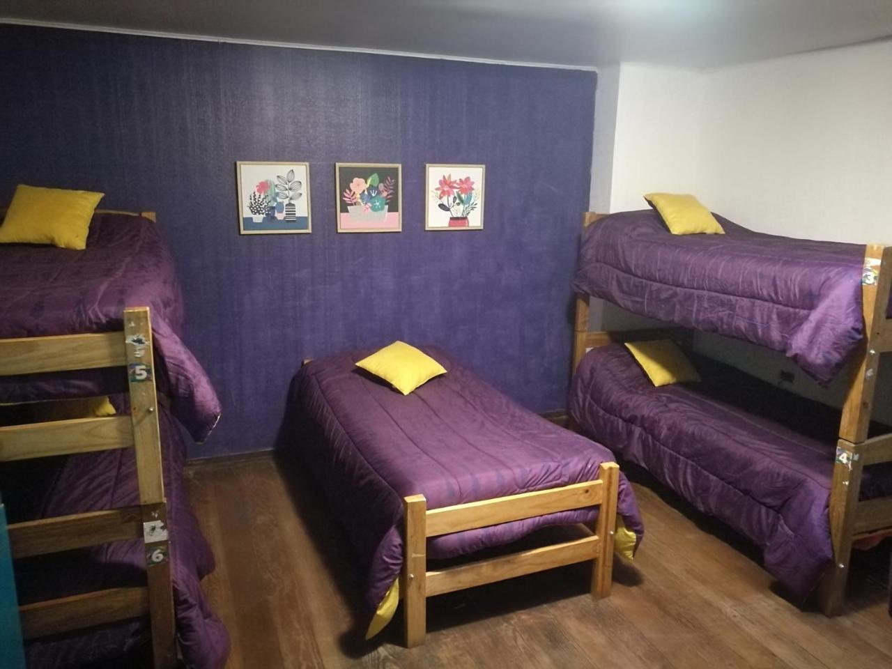 Columba Hostel Винья-дель-Мар Экстерьер фото